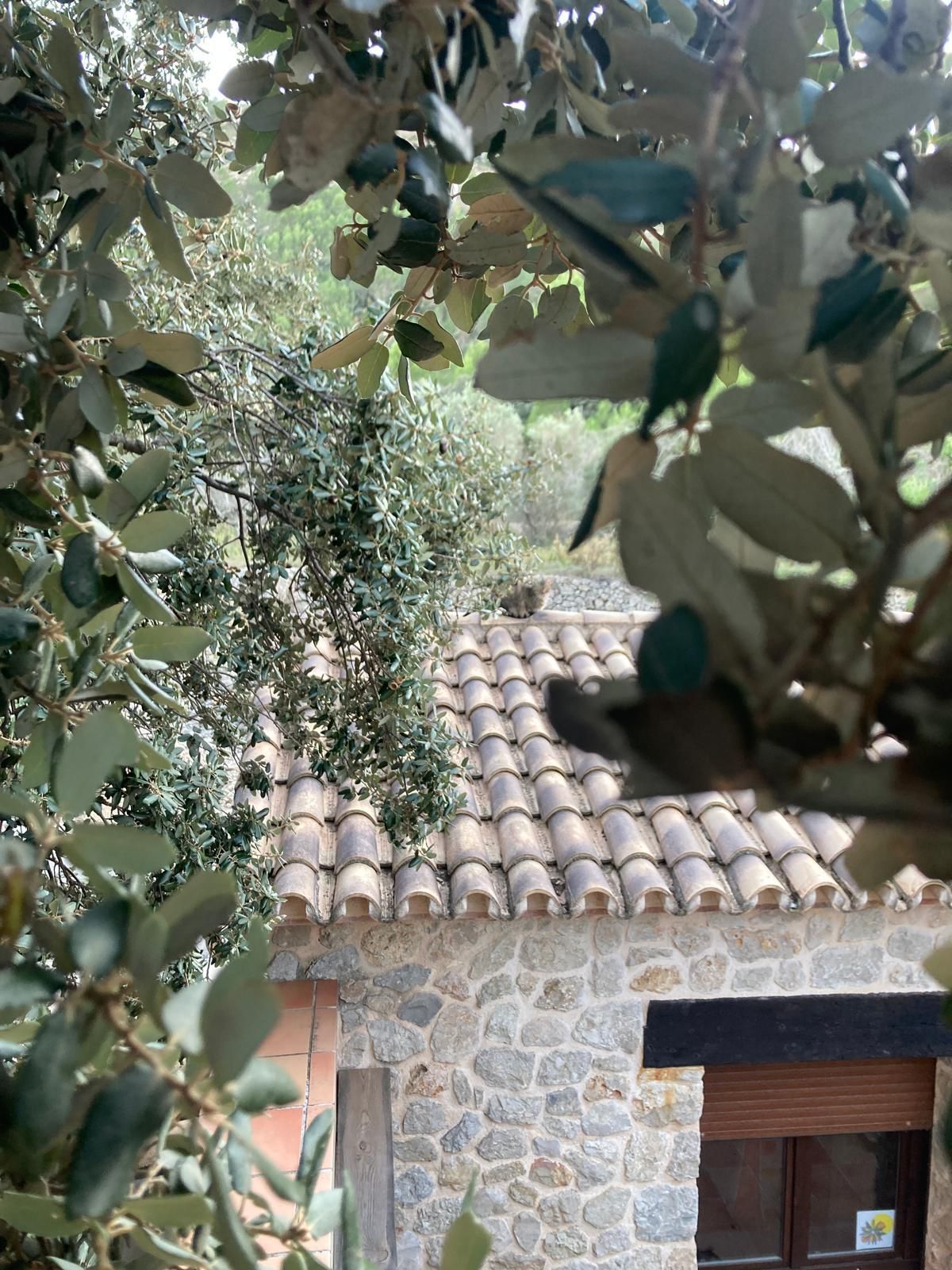 Venta. Houses and Villas in The Vall of the water
